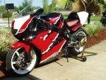 ERION CBR900RR.jpg