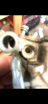797D3884-8131-4FC3-B41F-DE252781BD03.png